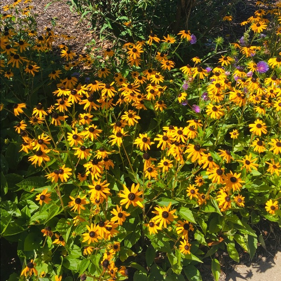 Self worth BOOK. Help understand boundaries, plus- - Picture 6 of 9